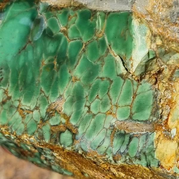 Variscite rough. VR453