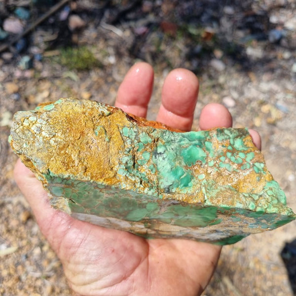 Variscite rough. VR453