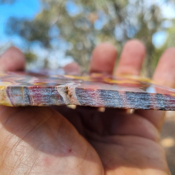 Polished Mookaite slab MK355