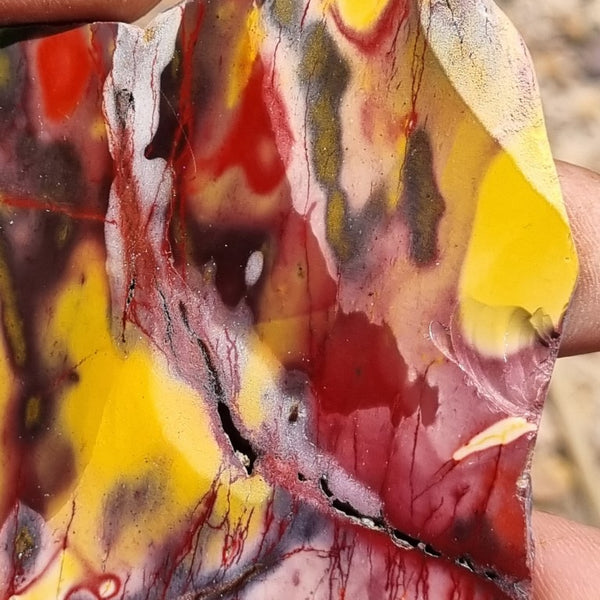 Polished Mookaite slab MK355