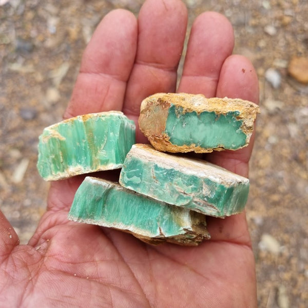 Variscite rough. VR454