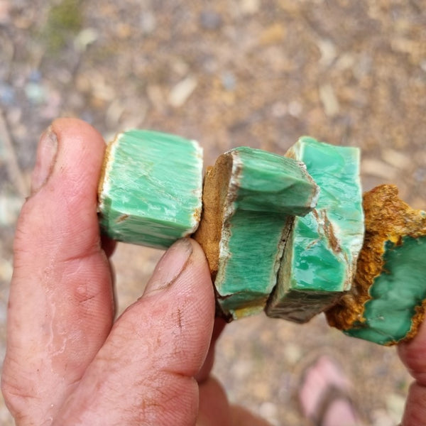 Variscite rough. VR454