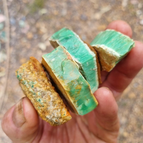 Variscite rough. VR454