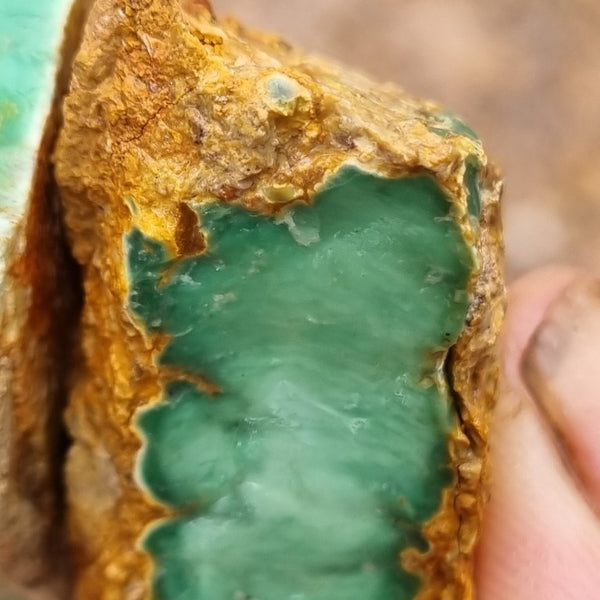 Variscite rough. VR454