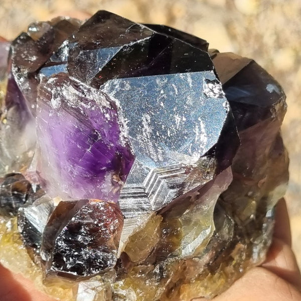 Wyloo Amethyst crystal . AM123