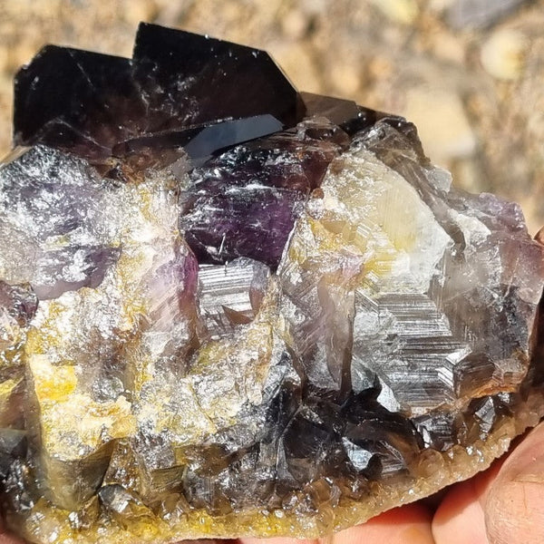 Wyloo Amethyst crystal . AM123