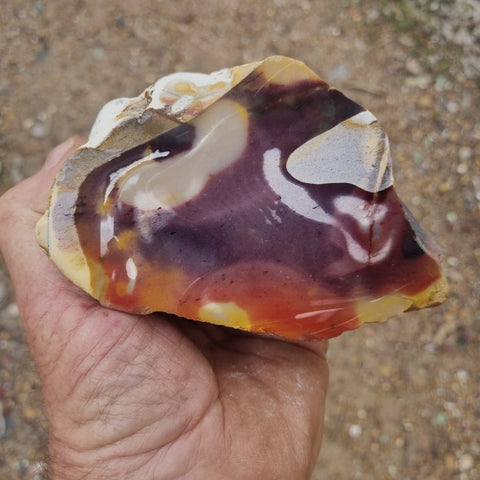 Polished Mookaite  MK358