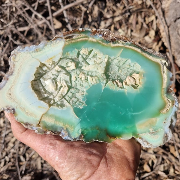 Polished Chrysoprase CH413