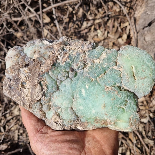 Polished Chrysoprase CH413