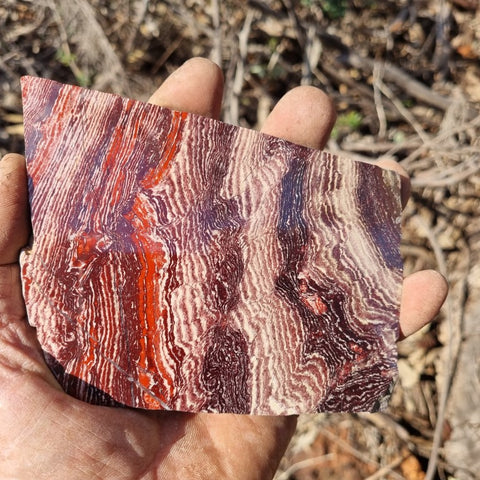 Polished Snakeskin Jasper slab SS162