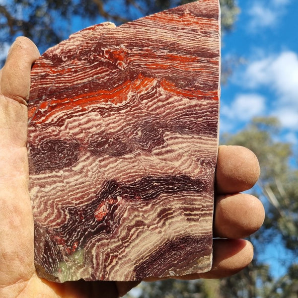 Polished Snakeskin Jasper slab SS162