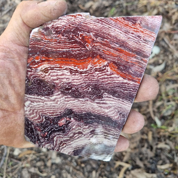 Polished Snakeskin Jasper slab SS162