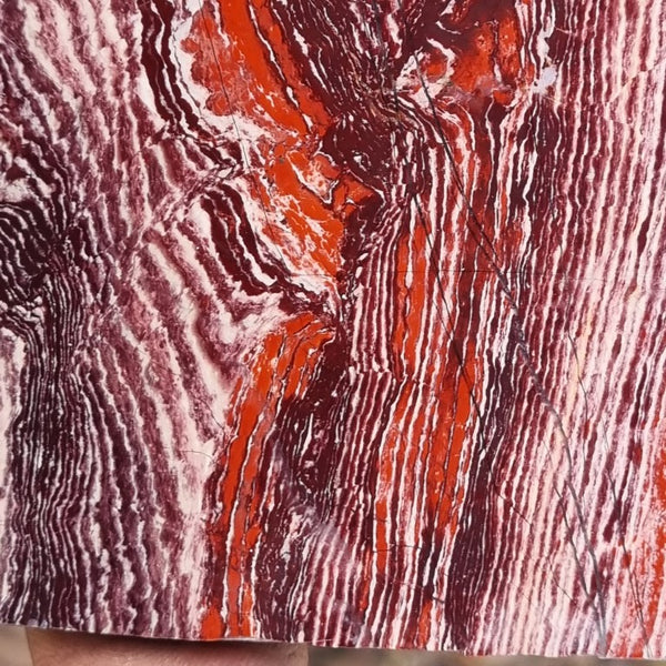 Polished Snakeskin Jasper slab SS162