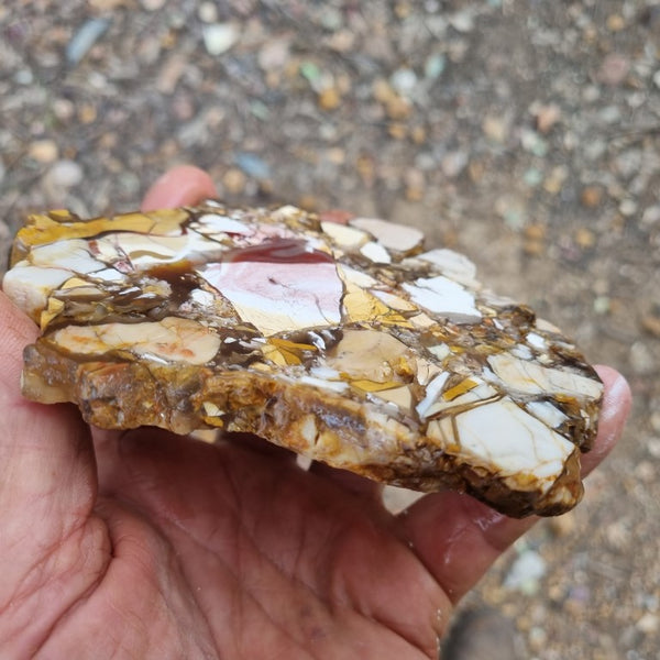 Polished Brecciated Mookaite slab BM280