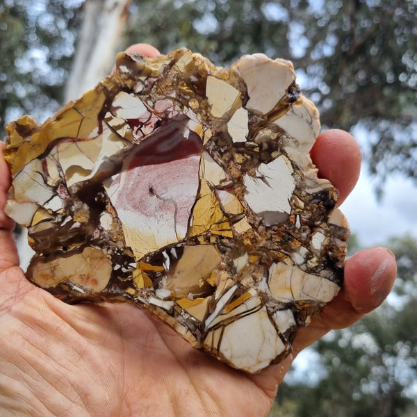 Polished Brecciated Mookaite slab BM280