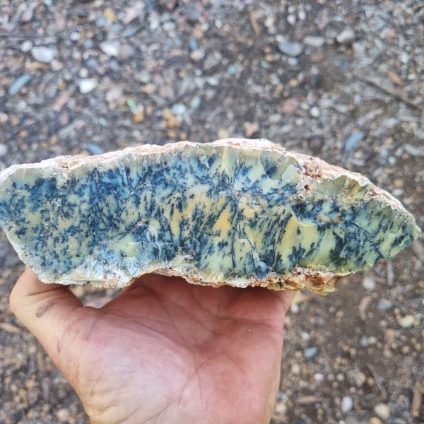 Dendritic Opal  rough.  DOR 187