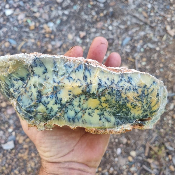 Dendritic Opal  rough.  DOR 187