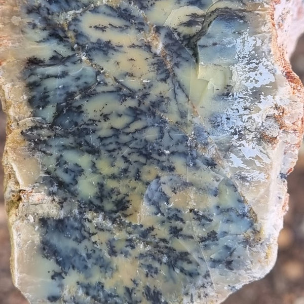 Dendritic Opal  rough.  DOR 187