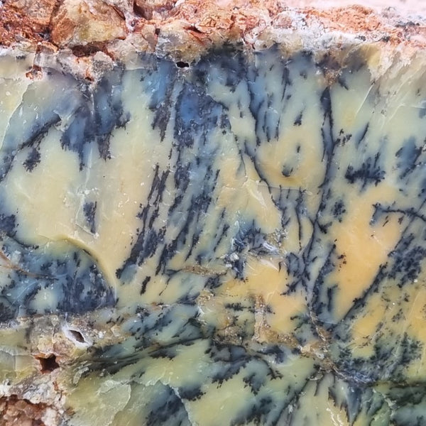 Dendritic Opal  rough.  DOR 187