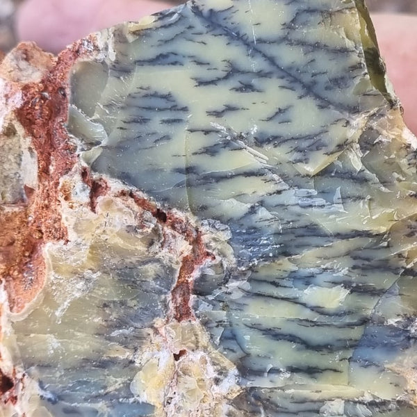 Dendritic Opal  rough.  DOR 187