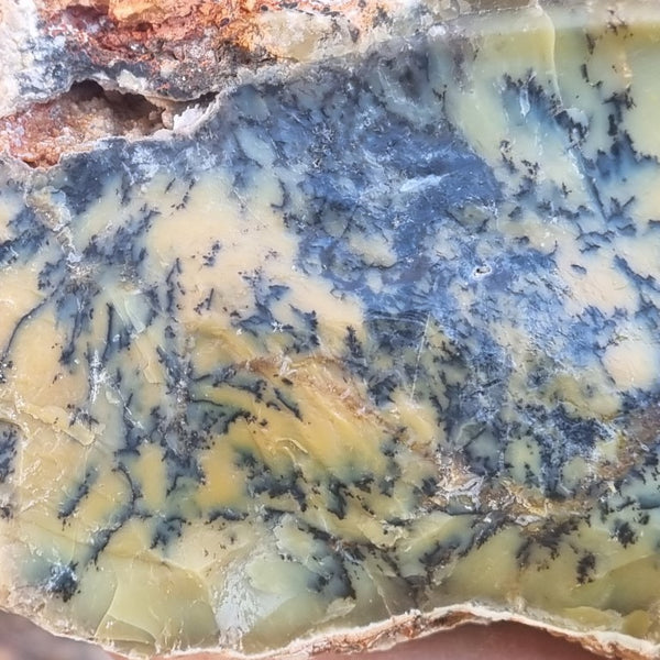 Dendritic Opal  rough.  DOR 187