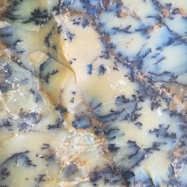 Dendritic Opal  rough.  DOR 187