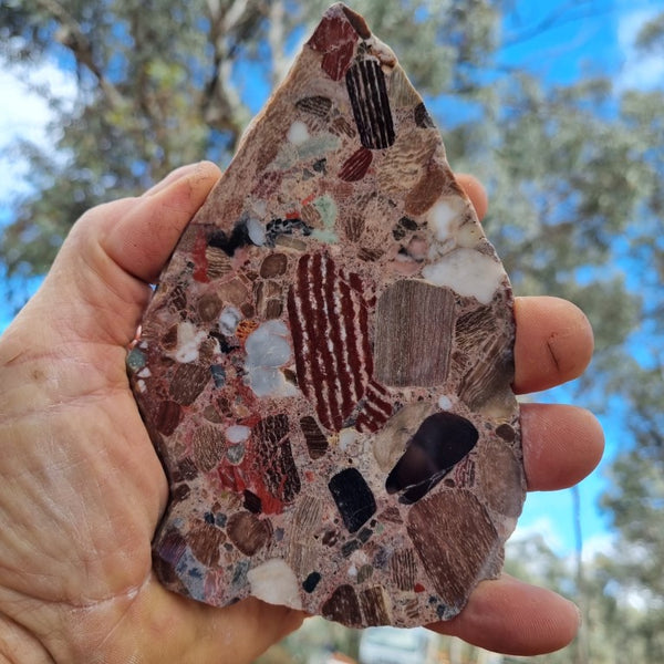 Polished Marillana Conglomerate slab MC104