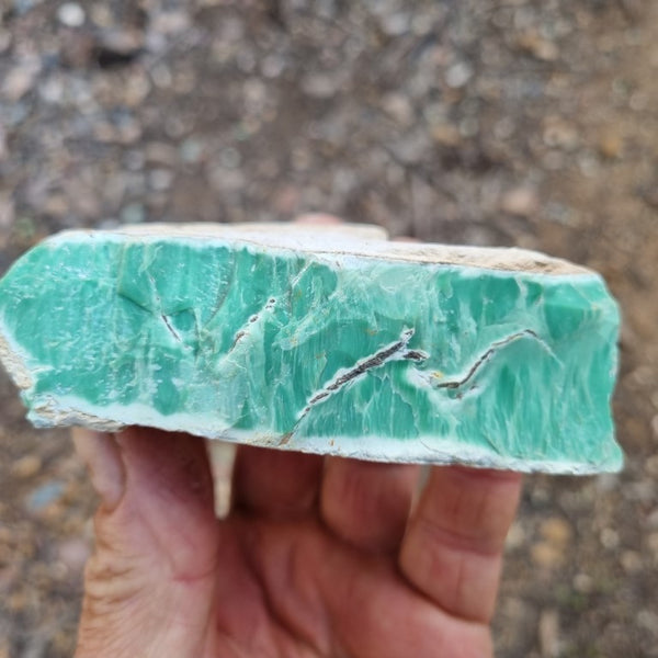 Variscite rough. VR459