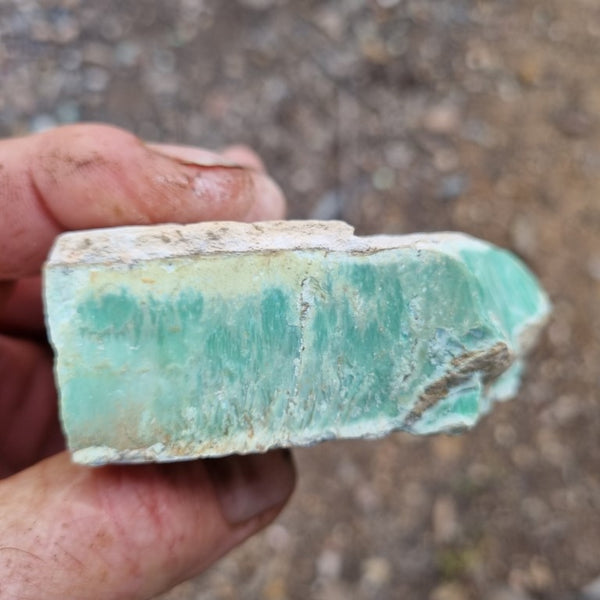 Variscite rough. VR459