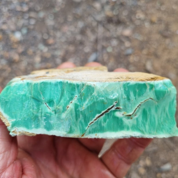 Variscite rough. VR459