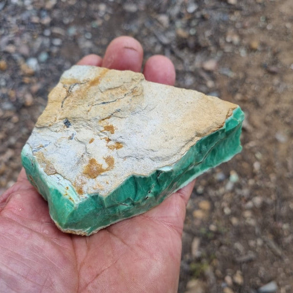 Variscite rough. VR459