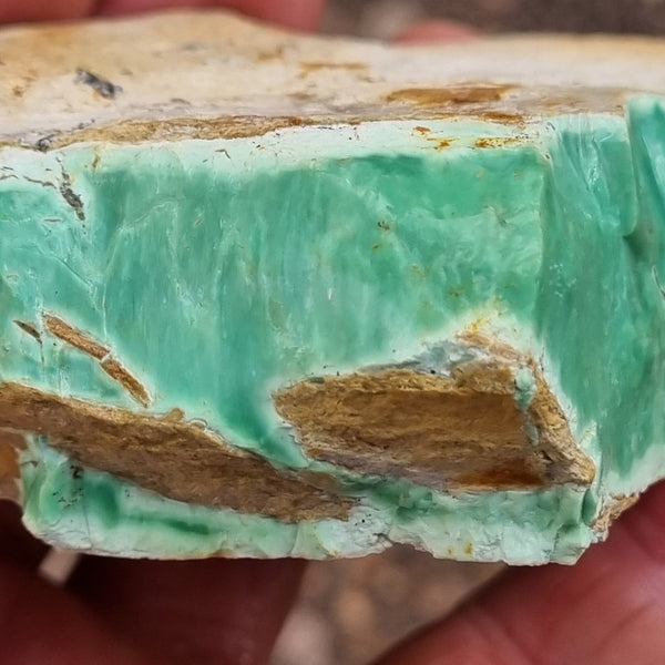 Variscite rough. VR459