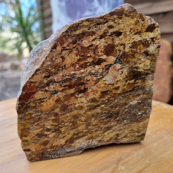 Polished Golden Amphibolite GA138