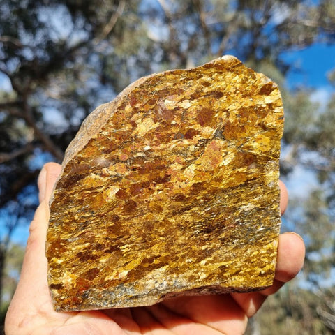 Polished Golden Amphibolite GA138