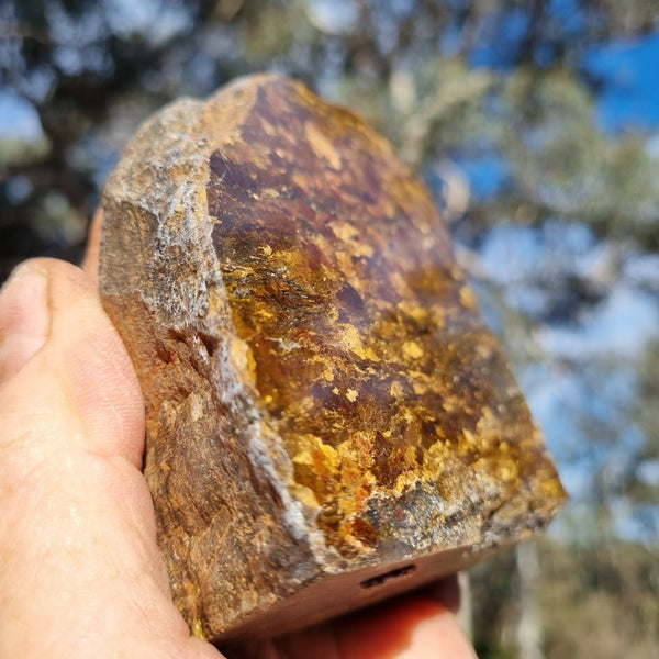 Polished Golden Amphibolite GA138