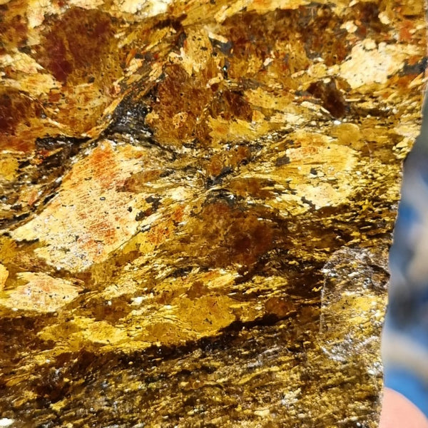 Polished Golden Amphibolite GA138