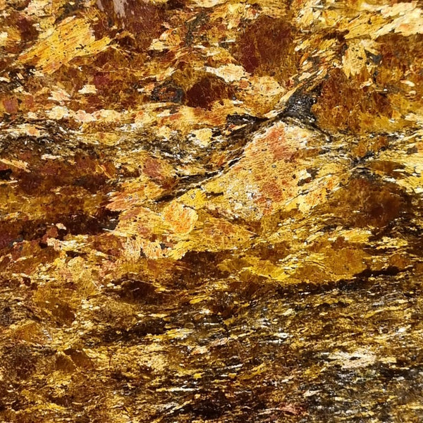 Polished Golden Amphibolite GA138