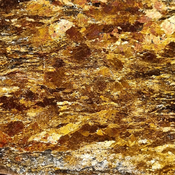 Polished Golden Amphibolite GA138