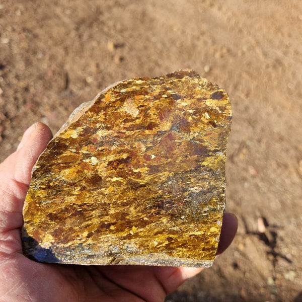 Polished Golden Amphibolite GA138