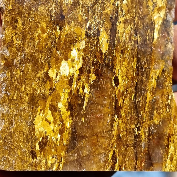 Polished Golden Amphibolite GA139