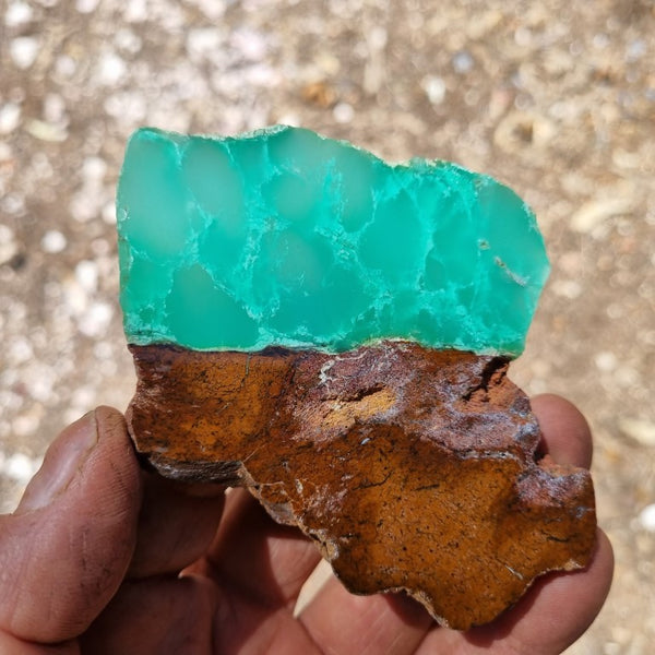 Polished Chrysoprase slab CH416