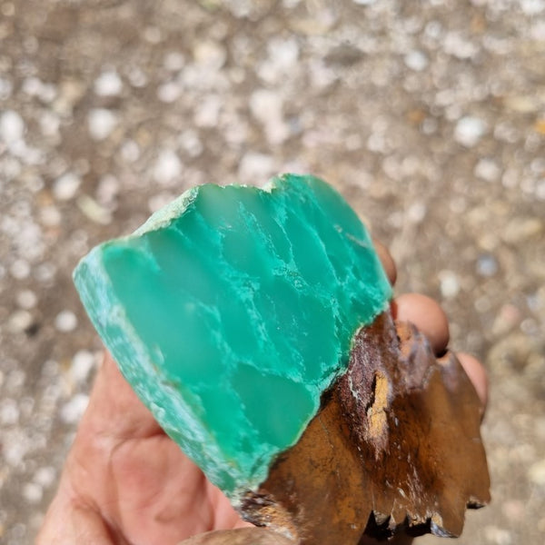 Polished Chrysoprase slab CH416