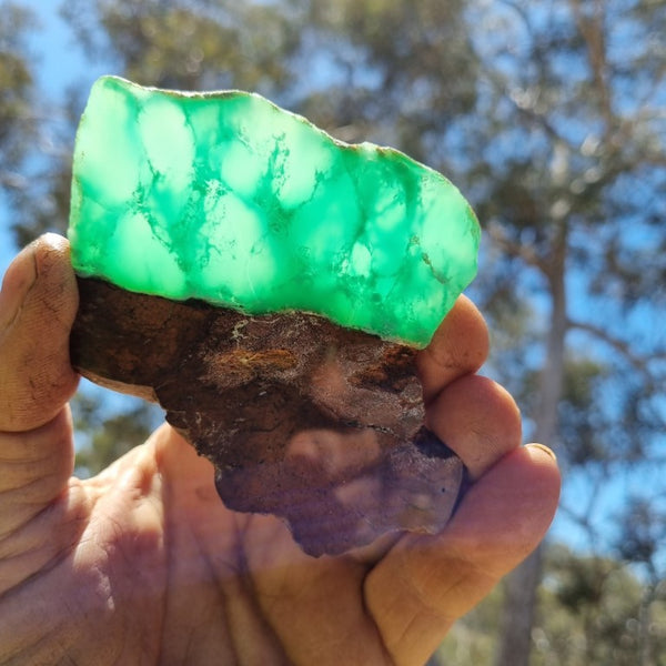 Polished Chrysoprase slab CH416