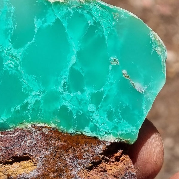 Polished Chrysoprase slab CH416