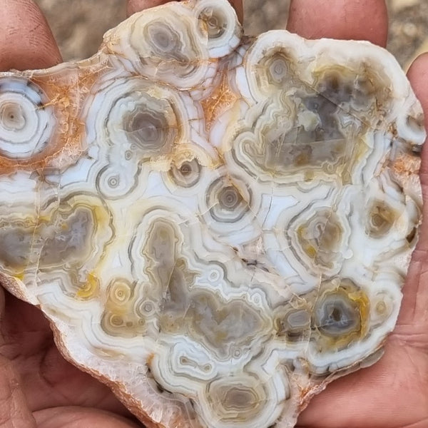 Polished Kumarina Agate slab KA136