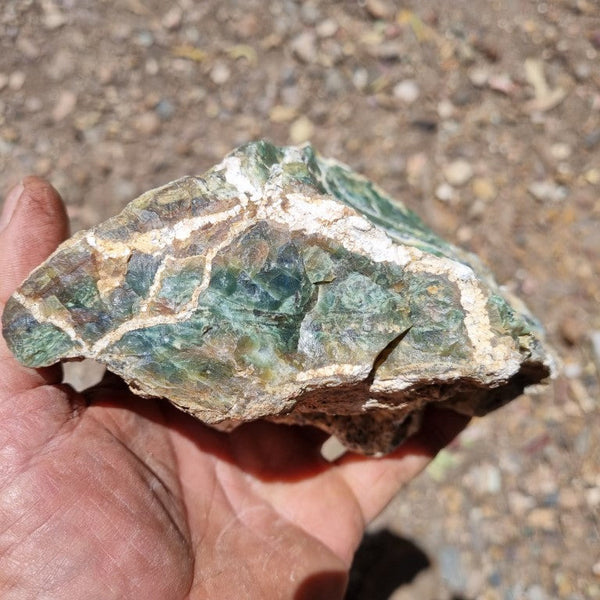 Green Opal  rough.  GOR 101