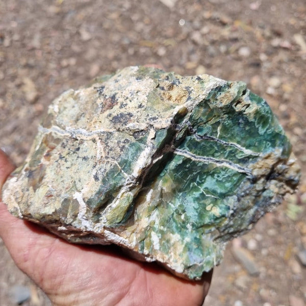 Green Opal  rough.  GOR 101