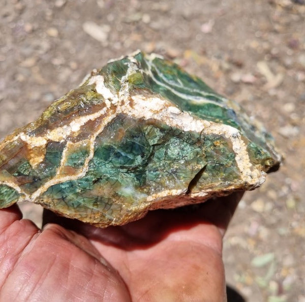 Green Opal  rough.  GOR 101