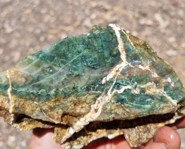 Green Opal  rough.  GOR 101