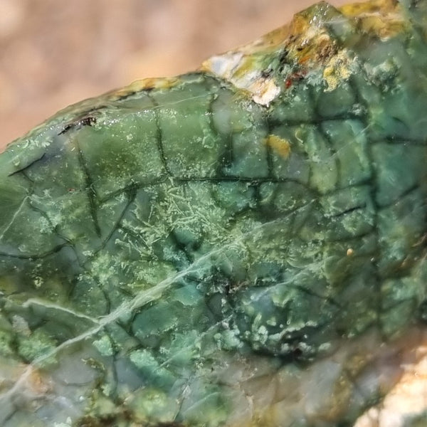 Green Opal  rough.  GOR 101